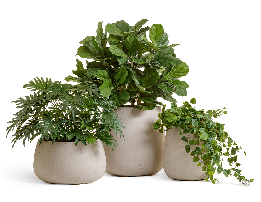 Кашпо Эффектори Бетон Дизайн -Чаша Белый песок_7