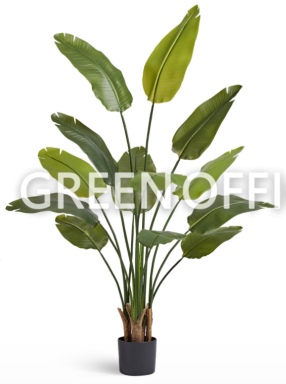 Стрелиция New Style с UV-защитой (Sensitive Botanic) - Фото 2