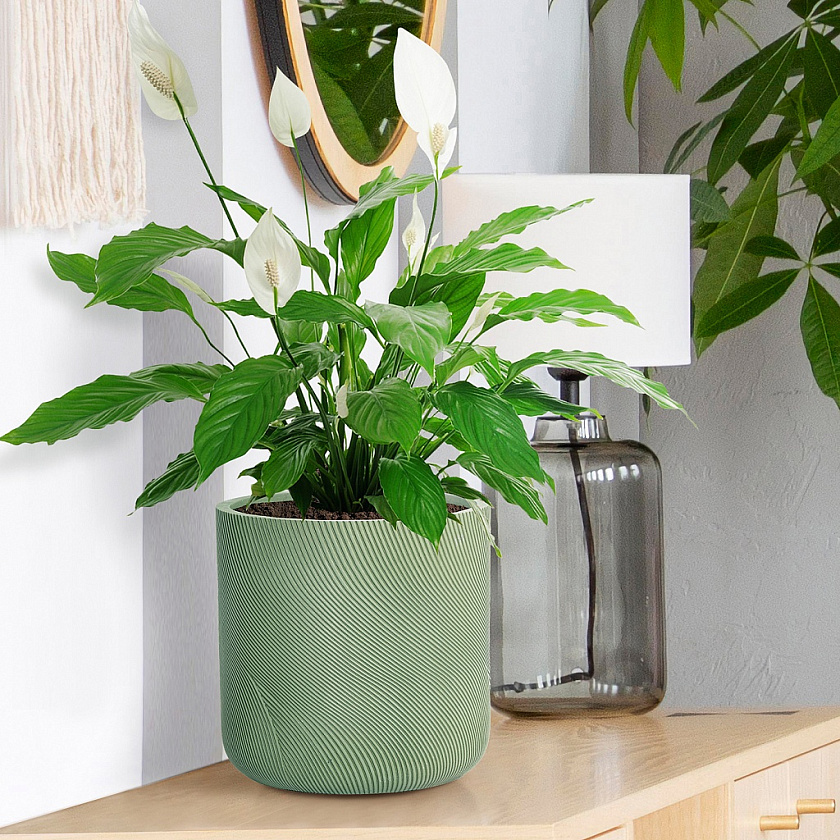 Кашпо Флоу Ваза круглое зеленое_1