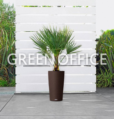 Кашпо Lechuza Cilindro Cottage (коричневый) - Фото 3