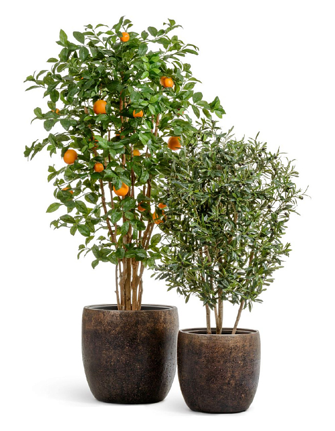 Кашпо Эффектори Металл конус-чаша Раф с золотой патиной_5