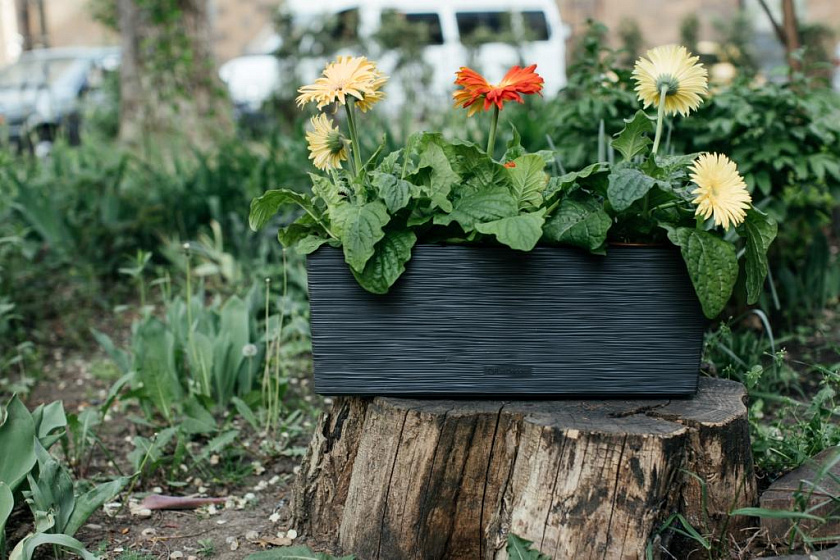 Кашпо Балкони ребристый (антрацит)_7