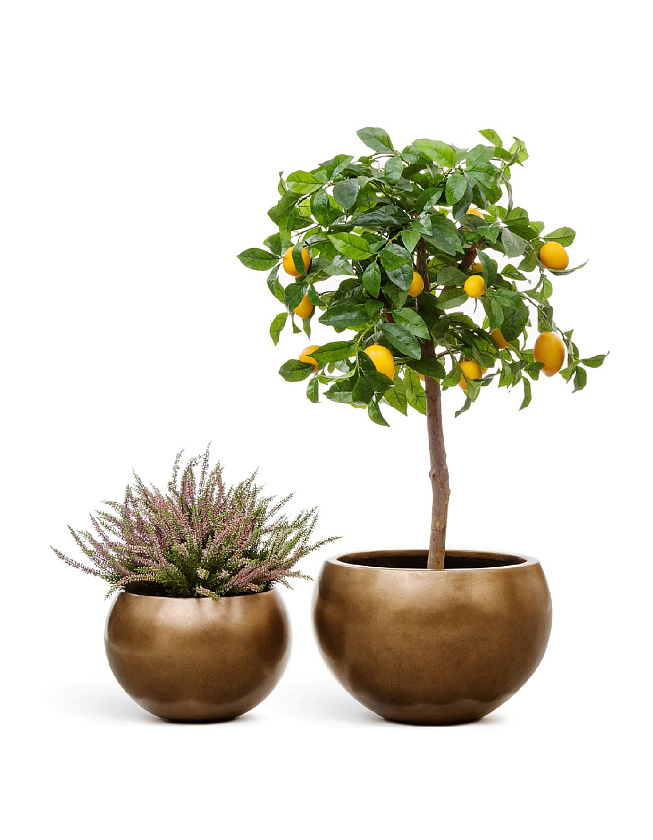 Кашпо Эффектори Металл полусфера темное матовое золото_5