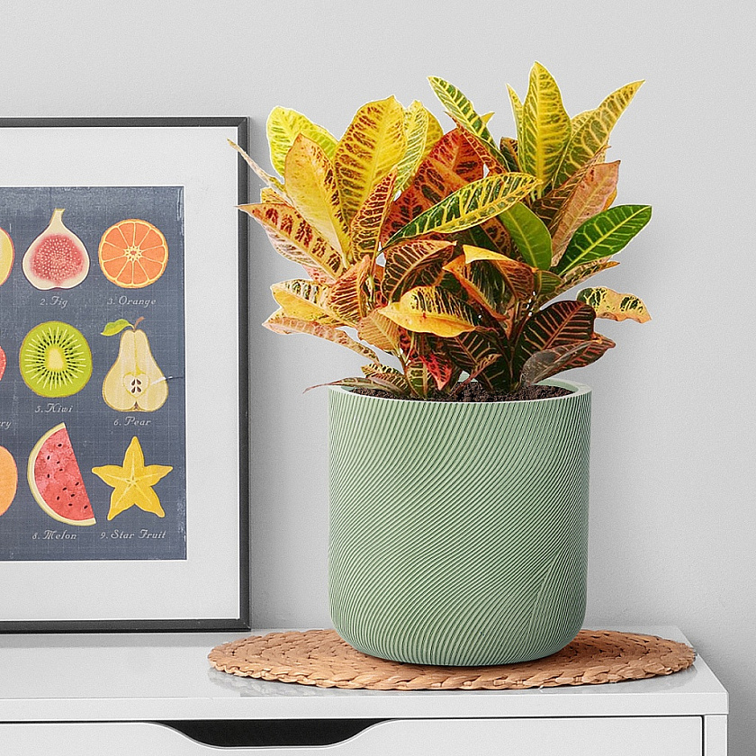 Кашпо Флоу Ваза круглое зеленое_2