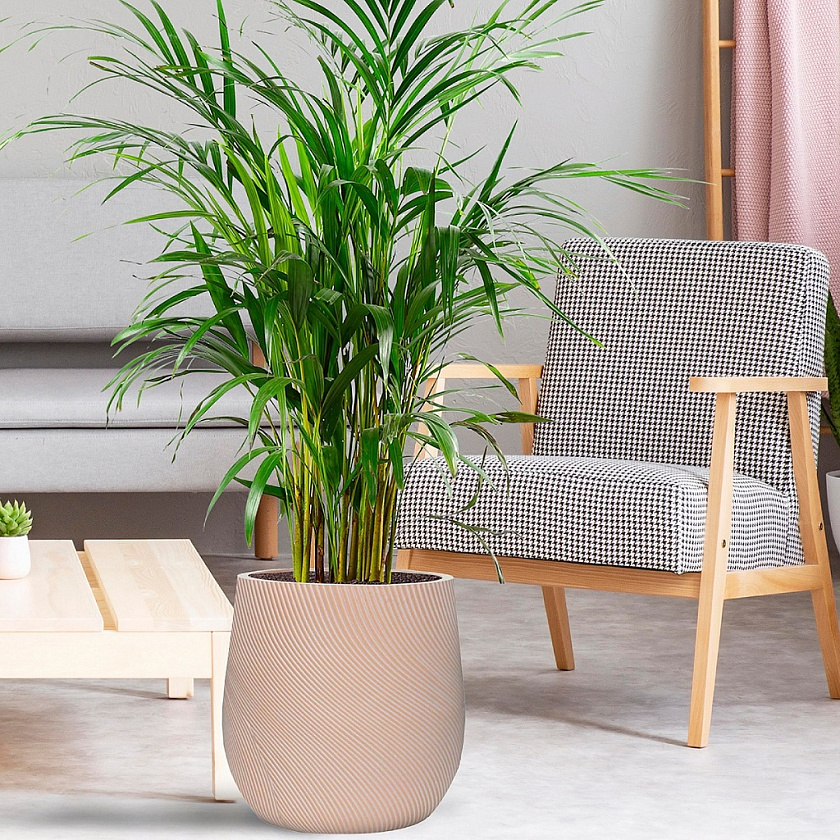 Кашпо Флоу Ваза терракоторое_3