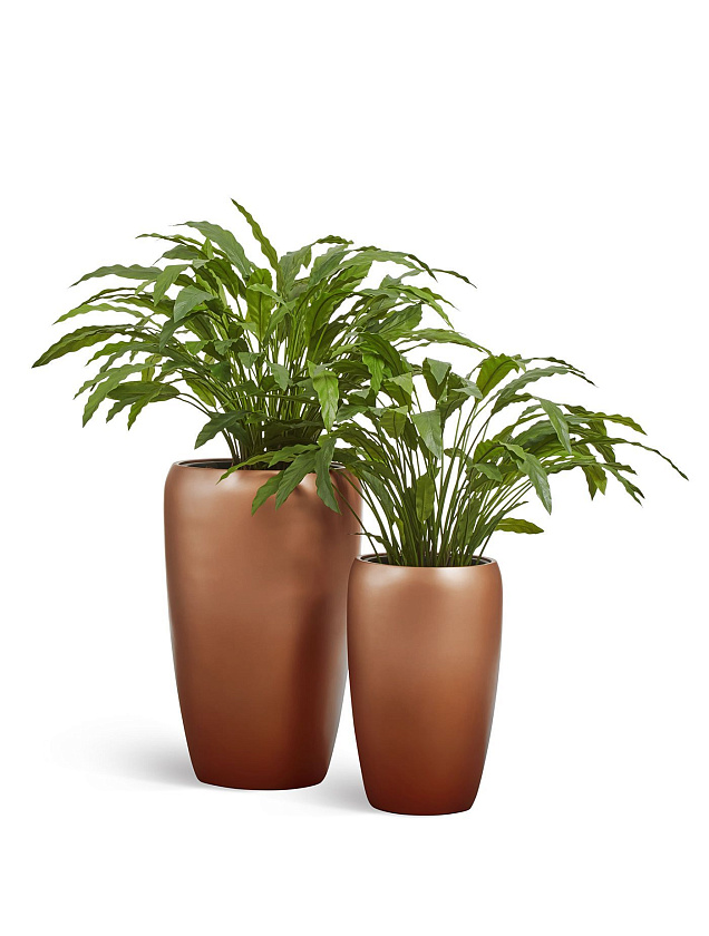 Кашпо Эффектори Металл высокий округлый конус лаковое темное золото_7