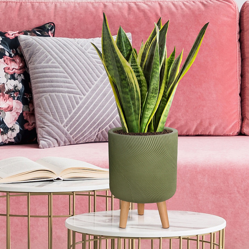 Кашпо Флоу Ваза с подставкой зеленое_2