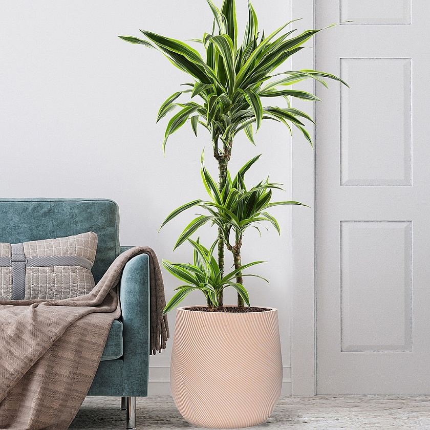 Кашпо Флоу Ваза терракоторое_2