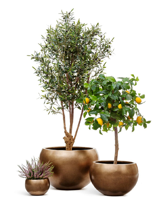 Кашпо Эффектори Металл полусфера темное матовое золото_4