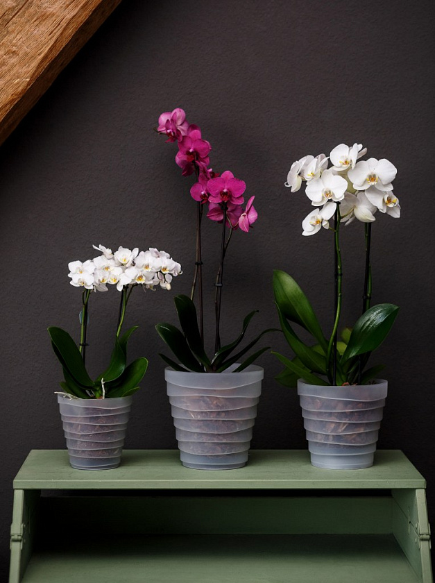 Кашпо Дюна со вторым дном (прозрачный)_1