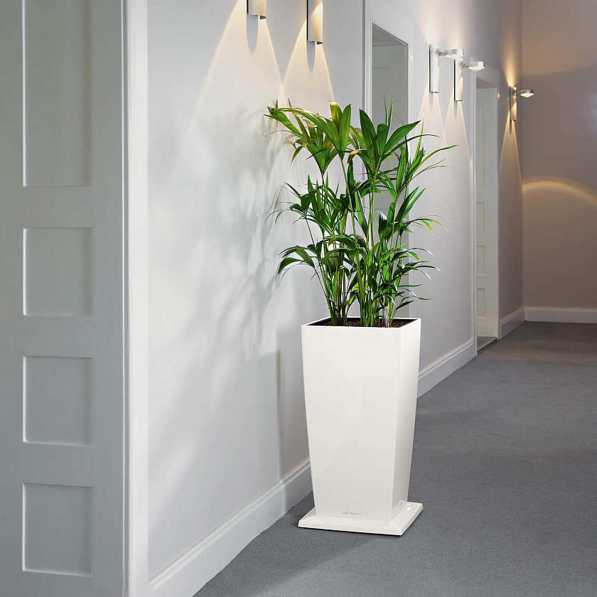 Подставка на роликах для Лечуза Кубико (белый)_