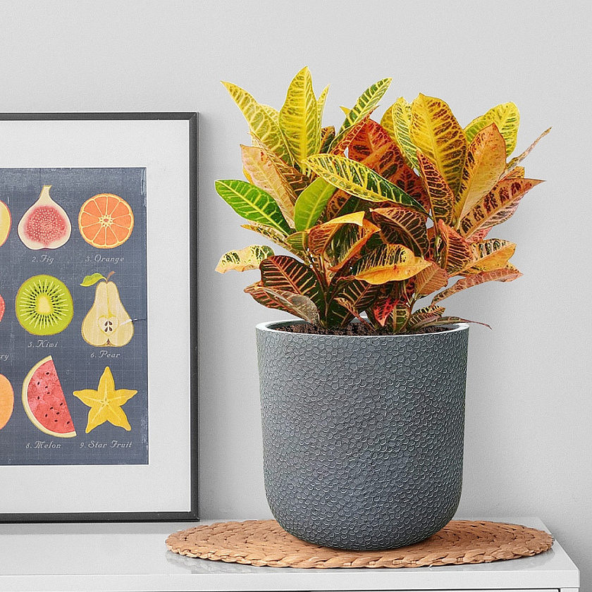 Кашпо Урбан Ваза антрацит_1