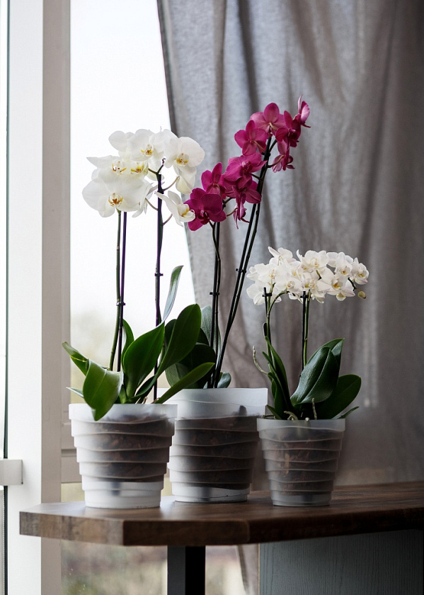 Кашпо Дюна со вторым дном (прозрачный)_